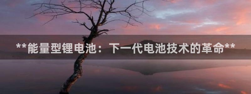 尊龙凯时是大平台吗：**能量型锂电池：下