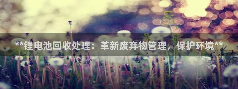 尊龙得过奥斯卡吗