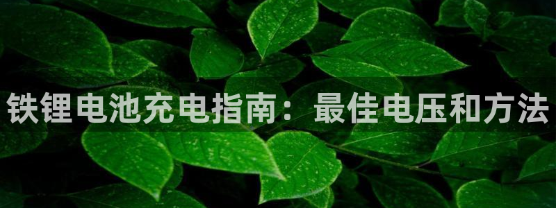 尊龙凯时取款24小时不到账