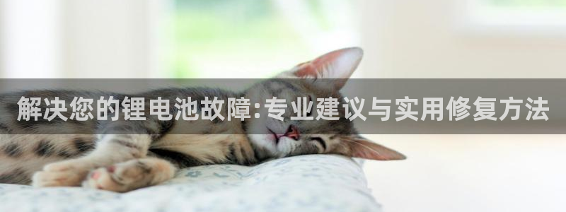 凯时kb88kb88