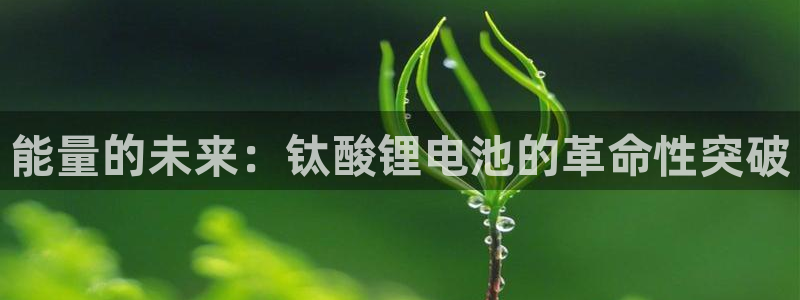 尊龙官网免费下载安卓