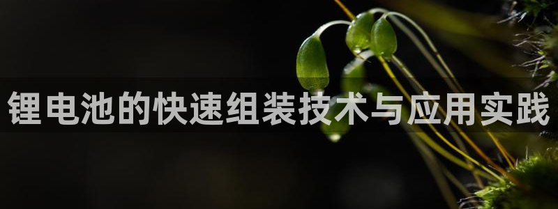 最新凯时官网网址
