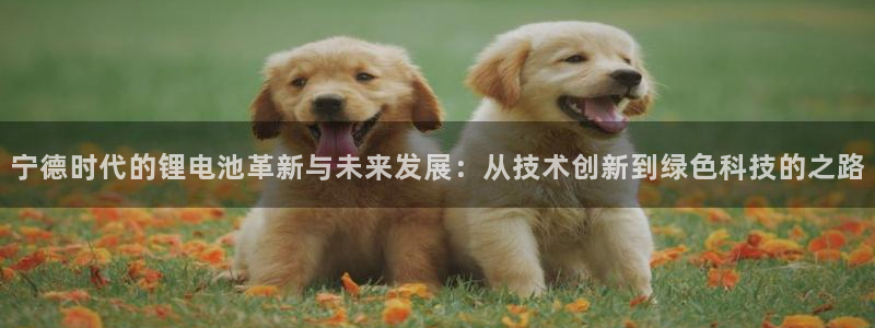 尊龙凯时ag旗舰厅试玩