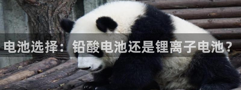 尊龙凯时app产品介绍