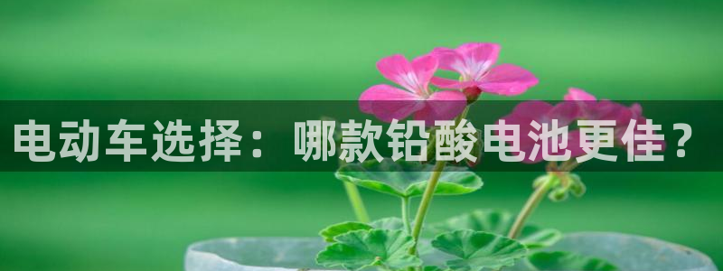 旧版尊龙人生就是博下载