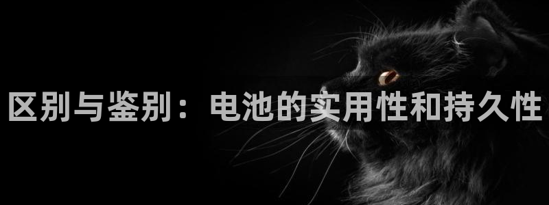 尊龙/人生就是博