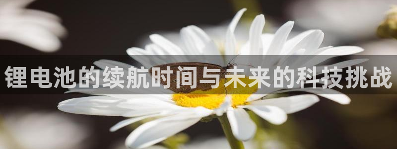 尊龙官方APP下载