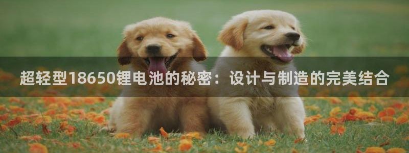 Z6尊龙凯时登录