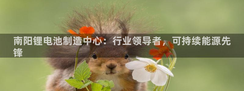 尊龙用现金娱乐一下下载旧：南阳锂电池制造中心：行业领导者，可持续能源先
锋