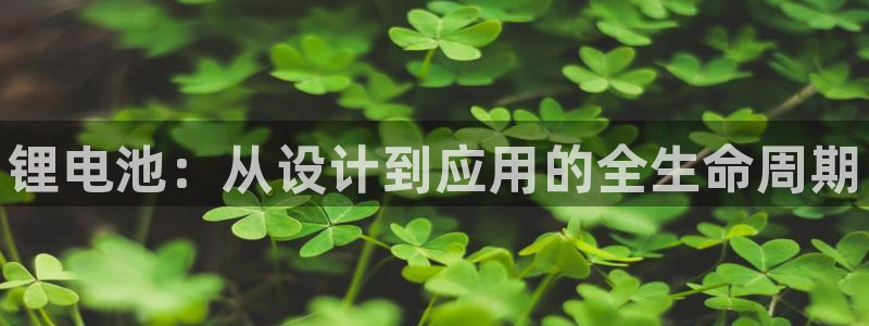 尊龙集团有限公司是国企吗