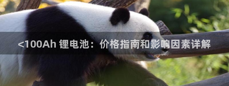凯时kb88会员登录：<100Ah 锂电池：价格指南和影响因素详解
