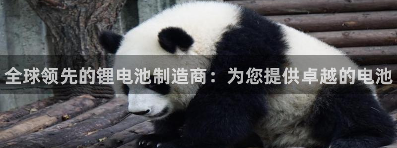 尊龙体育直接访问agbaofu.wang|ag暴富网：全球领先的锂电池制造商：为您提供卓越的电池