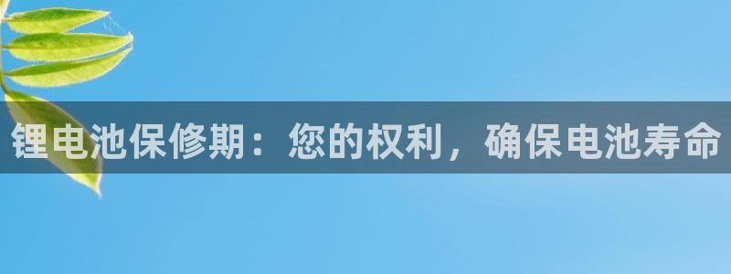 尊龙凯时输钱的原因：锂电池保修期：您的权利，确保电池寿命