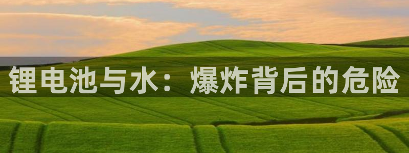 尊龙凯时 - 人生就是搏手机登录：锂电池