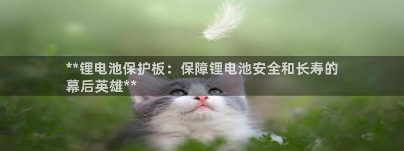 尊龙官网免费下载安卓：**锂电池保护板：保障锂电池安全和长寿的
幕后英雄**