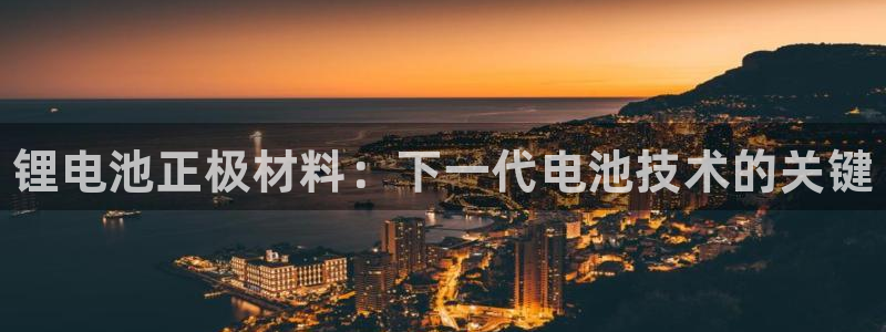 尊龙实业有限公司属于国企吗：锂电池正极材料：下一代电池技术的关键