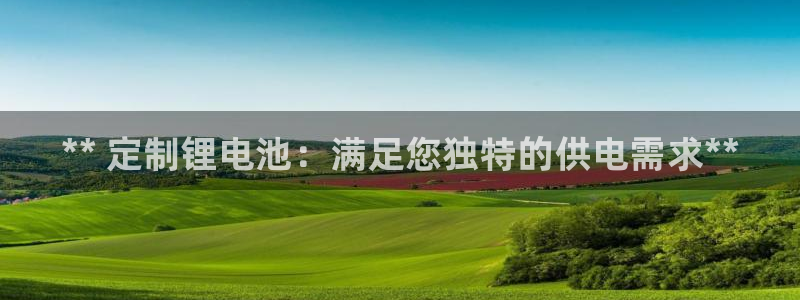 尊龙在线登录官网：** 定制锂电池：满足您独特的供电需求**