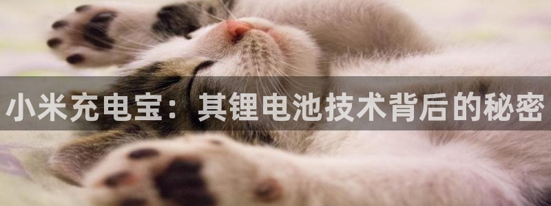 尊龙凯时ag旗舰厅登陆：小米充电宝：其锂电池技术背后的秘密