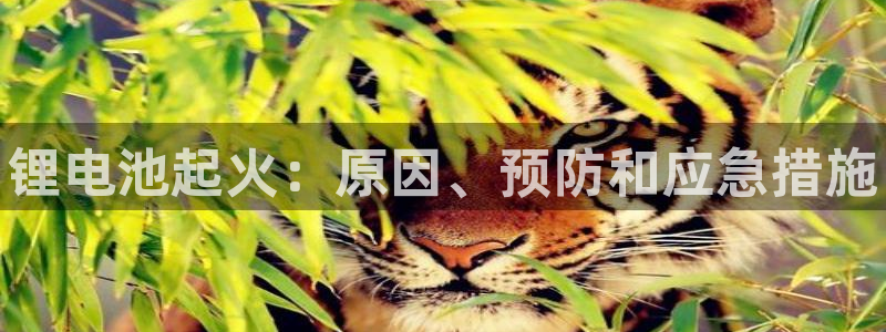 有人在凯时赢过钱吗