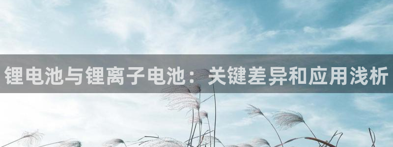 尊龙服饰有限公司地址：锂电池与锂离子电池：关键差异和应用浅析