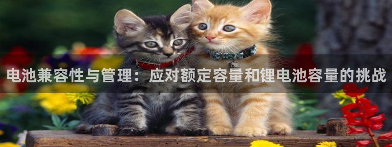 尊龙凯时美金能提取吗