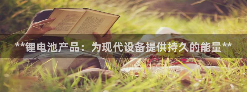 尊龙凯时ag旗舰厅官：**锂电池产品：为现代设备提供持久的能量**