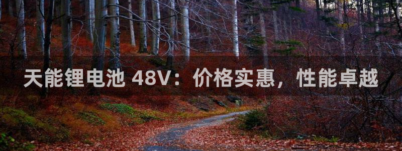 凯时首页登录：天能锂电池 48V：价格实惠，性能卓越