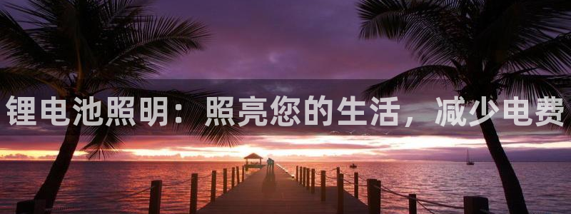 尊龙D88现金旧版：锂电池照明：照亮您的生活，减少电费