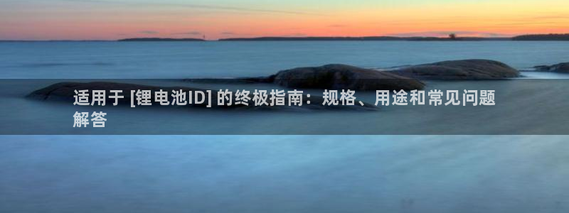 尊龙凯时代理：适用于 [锂电池ID] 的终极指南：规格、用途和常见问题
解答