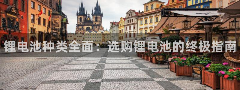 尊龙凯时-人生就是博中国官网首页：锂电池种类全面：选购锂电池的终极指南