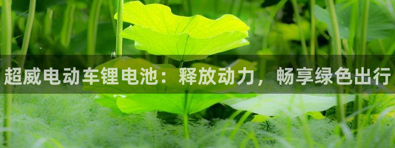 尊龙凯时电竞注册：超威电动车锂电池：释放动力，畅享绿色出行