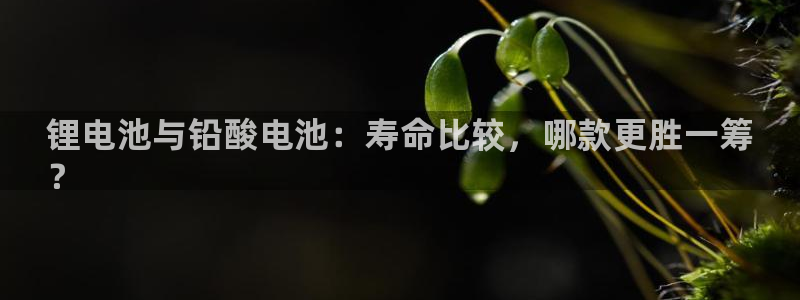百度一下尊龙：锂电池与铅酸电池：寿命比较